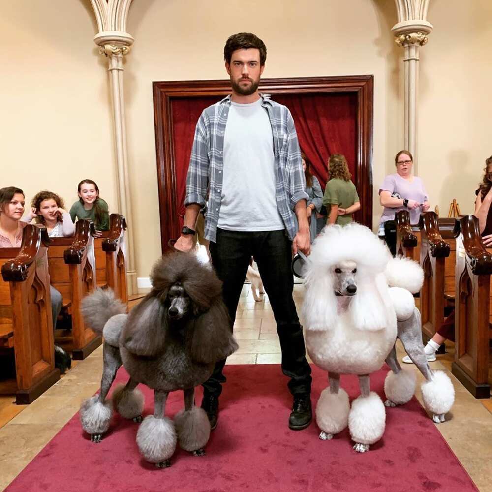Jack Whitehall gay Jack Whitehall gay