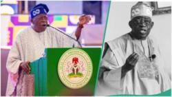 Hukumar RMAFC Ta Bayyana Albashin Da Shugaba Tinubu Ke Samu a Kowane Wata