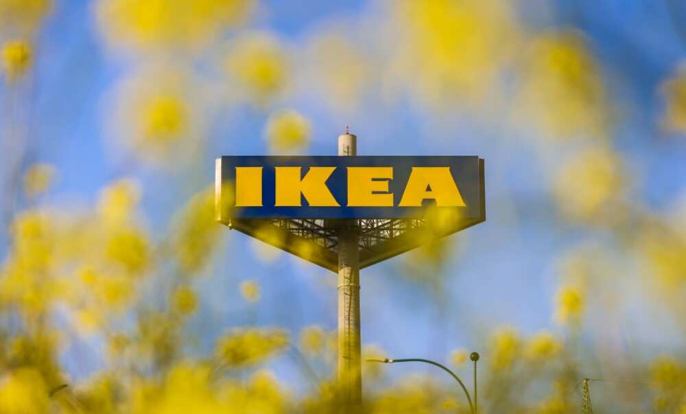Profits rebounded at Ikea from the previous year which was affected by the cost of pulling out from Russia