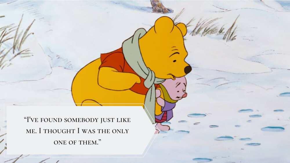 Quotes from Winnie the Pooh