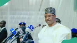 Hardship: Jubilation as Nigerian governor begins distribution of palliatives worth N11.4 billion