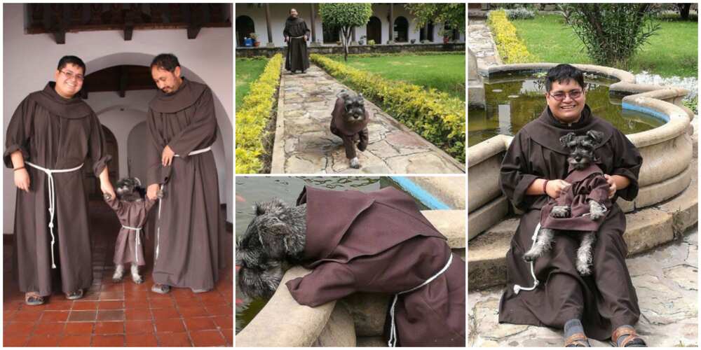 Two Men Adopt an Abandoned Dog, Dress it in Matching Outfit as Theirs, Photos go Viral, Spark Reactions