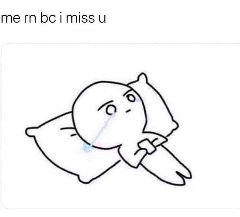 i miss you meme