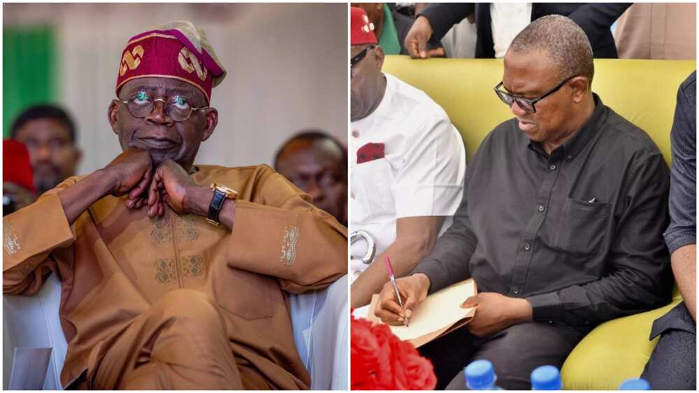 Tinubu/Peter Obi/2023 Presidential Election