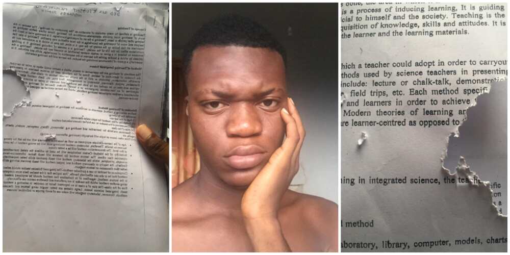 Your village people: Social media reacts as young man cries out after rats tampered with his exam material