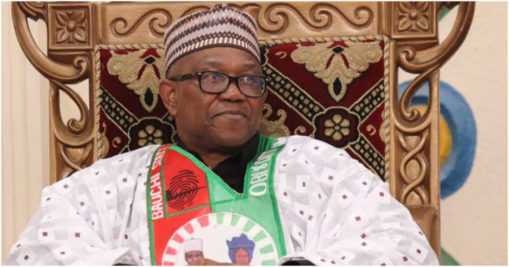 Labour Party, Peter Obi Labour Party, Peter Obi