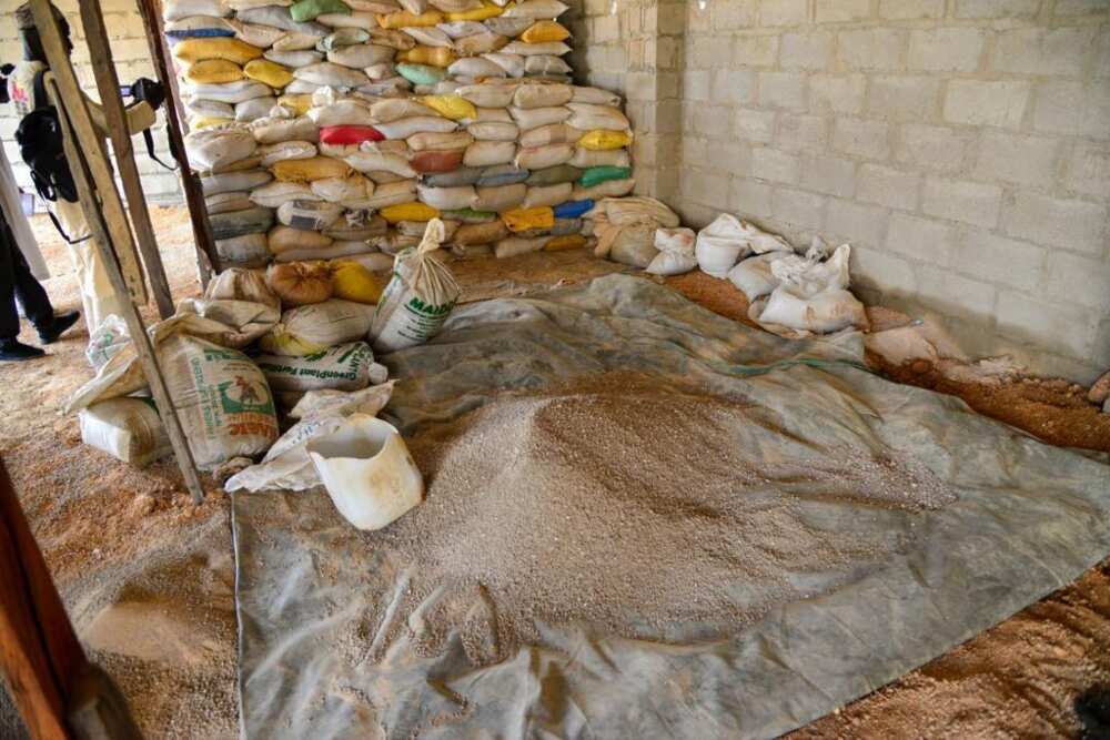 Illegal fertiliser blender/Kano