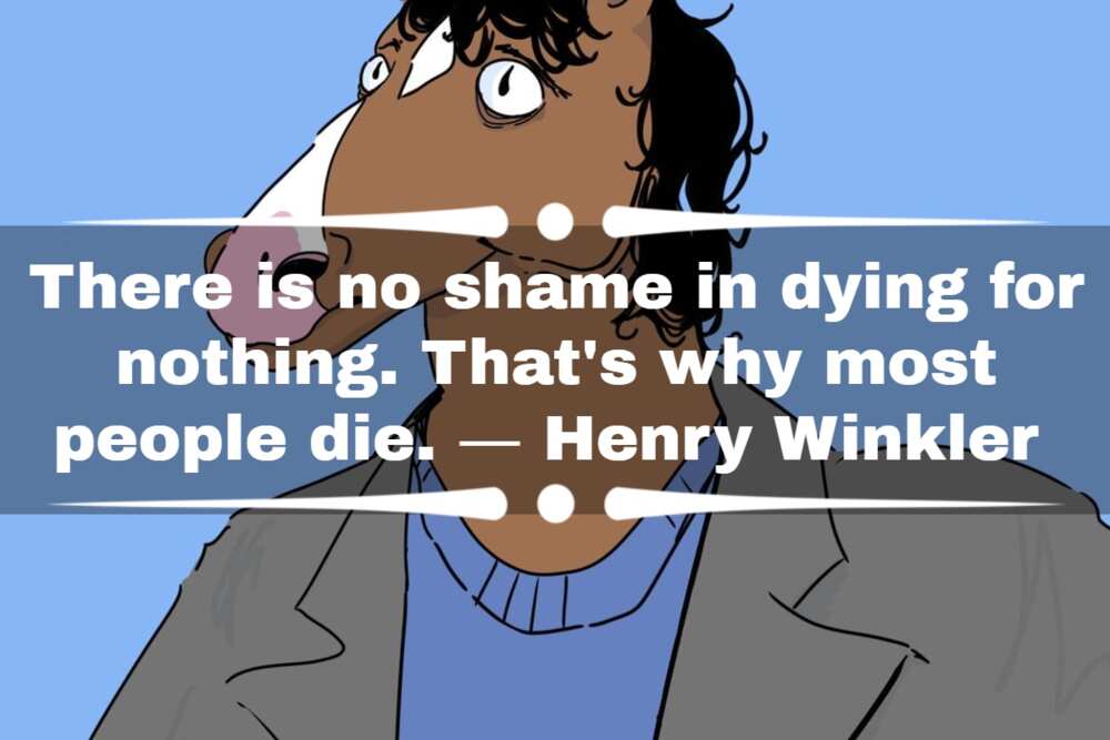 BoJack Horseman love quotes BoJack Horseman love quotes