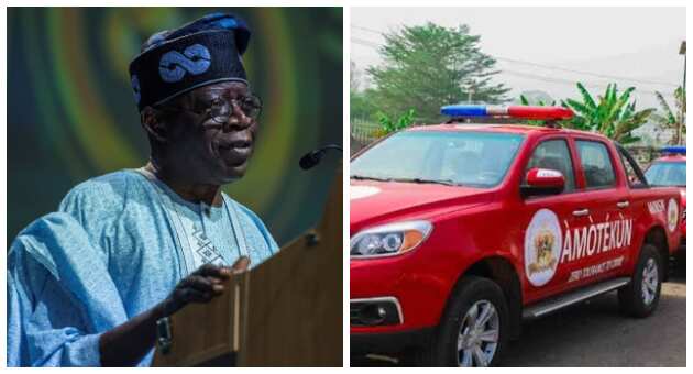 Amotekun: Tinubu's 2023 presidential ambition silencing him - Opinion