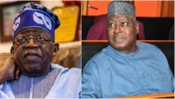 2023: Ex-SGF reveals what Tinubu said about campaign in South-East during APC primaries