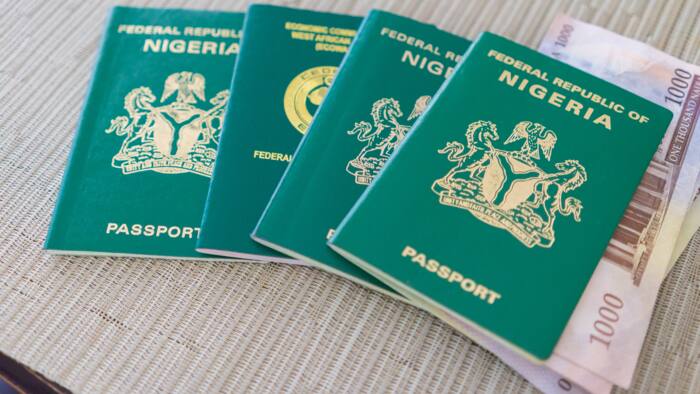 Presidential Council Rejects N1,000 NIN verification fee for passport application