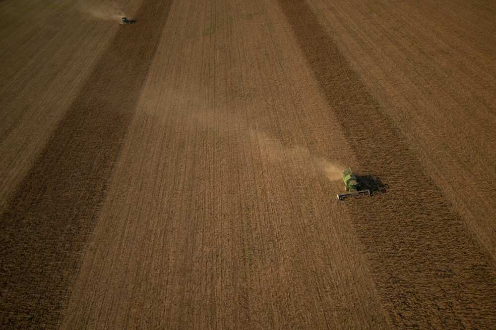 The Ukrainian agriculture ministry said the deal would 'speed up transit through Poland' The Ukrainian agriculture ministry said the deal would 'speed up transit through Poland'