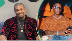 Don Jazzy reacts to Wizkid's troll, Nigerians weigh in: "Typical character of an influencer"
