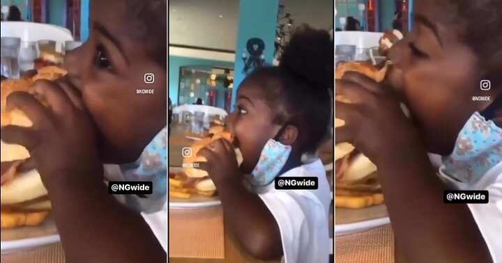 Little girl struggles to eat burger