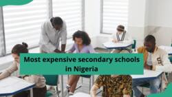 Top 25 most expensive secondary schools in Nigeria in 2024