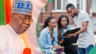 “Apply now”: Good news as FG announces date to open student loan application portal