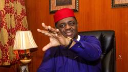 "Rhodes-Vivour wants to impose Igbo agenda, remove all Yoruba traditional rulers", FFK claims
