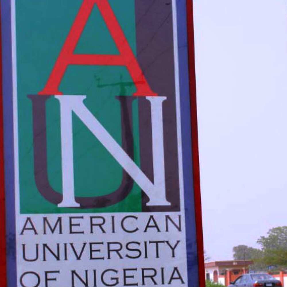 American University of Nigeria undergraduate courses American University of Nigeria undergraduate courses