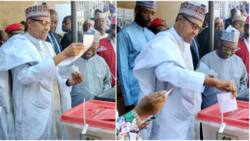 BREAKING: Buhari votes in Katsina, party, identity of candidate president voted for Revealed