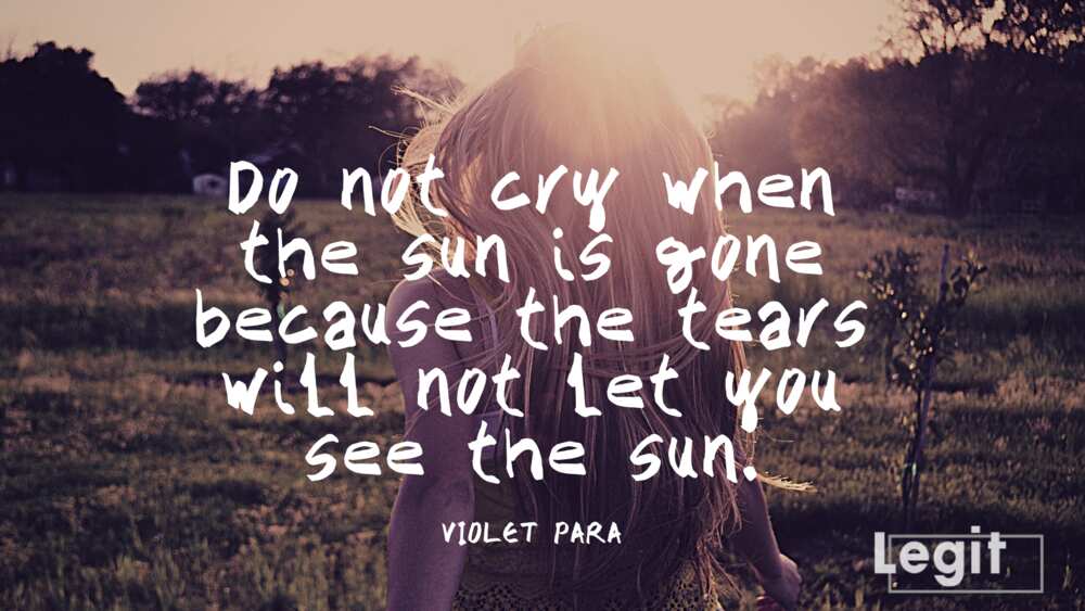 Heart Touching True Love Quotes - Romantic Quote Wall Art Di - Inspire Uplift