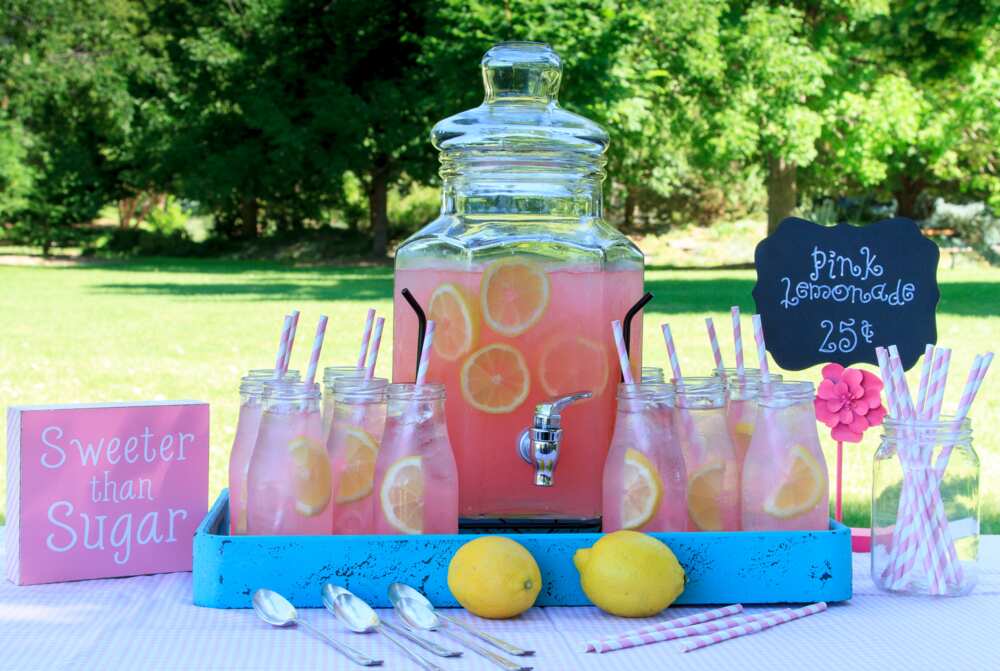 Pink lemonade at picnic in ark