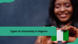 Types of citizenship in Nigeria: what are they and how to acquire them in 2024