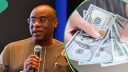 CBN exposes key players responsible for naira crash, bars bank CEOs from leaving Nigeria