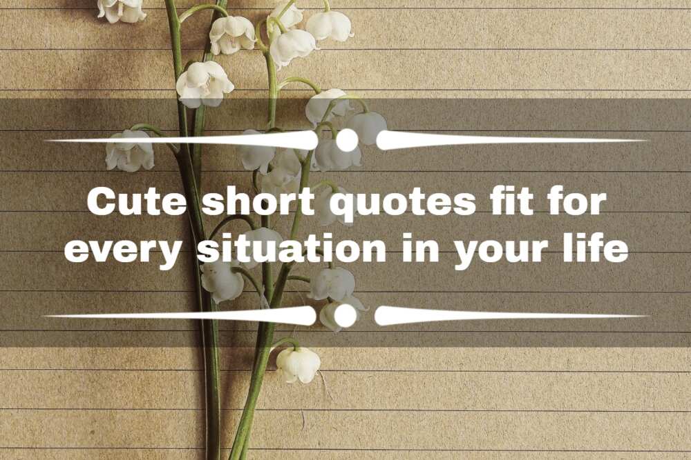 cute short quotes