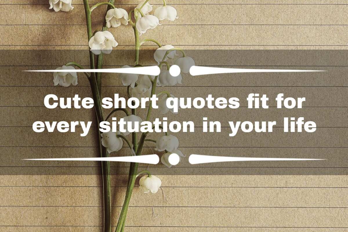 100 Cute Short Quotes Fit For Every Situation In Your Life Legit ng