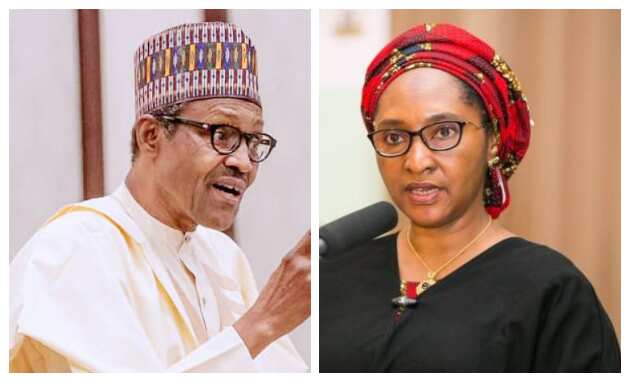 Buhari to lift 100m Nigerians from poverty in 2020 - Finance minister