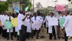 BREAKING: Doctors to embark on nationwide protest on Wednesday, August 9
