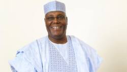 All result sheets were mutilated in Borno - Atiku’s collation agent reveals