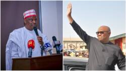 2023 presidency: NNPP to merge with Peter Obi's Labour Party? Kwankwaso reveals final decision