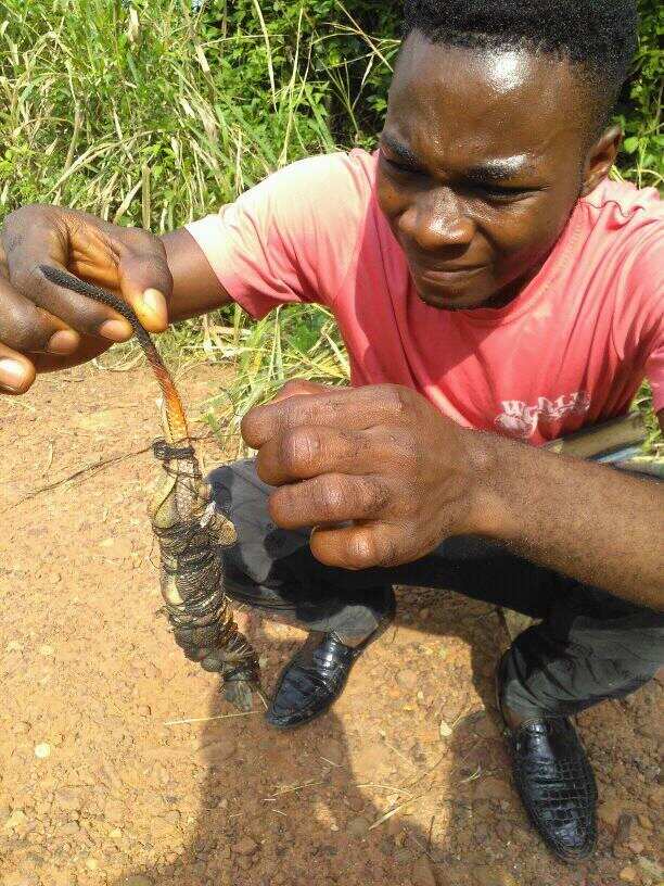 Anambra-based pastor reveals the charm God showed him while praying in a bush (photos)