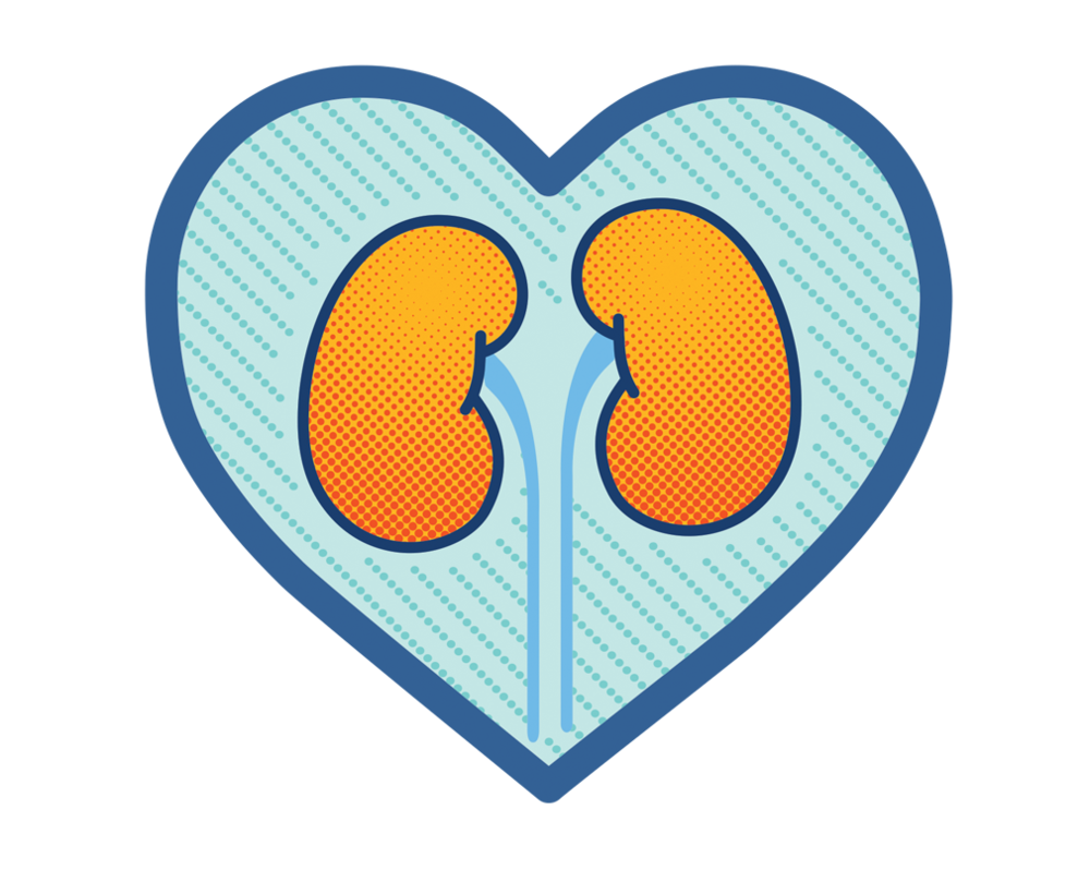Benefits for kidney