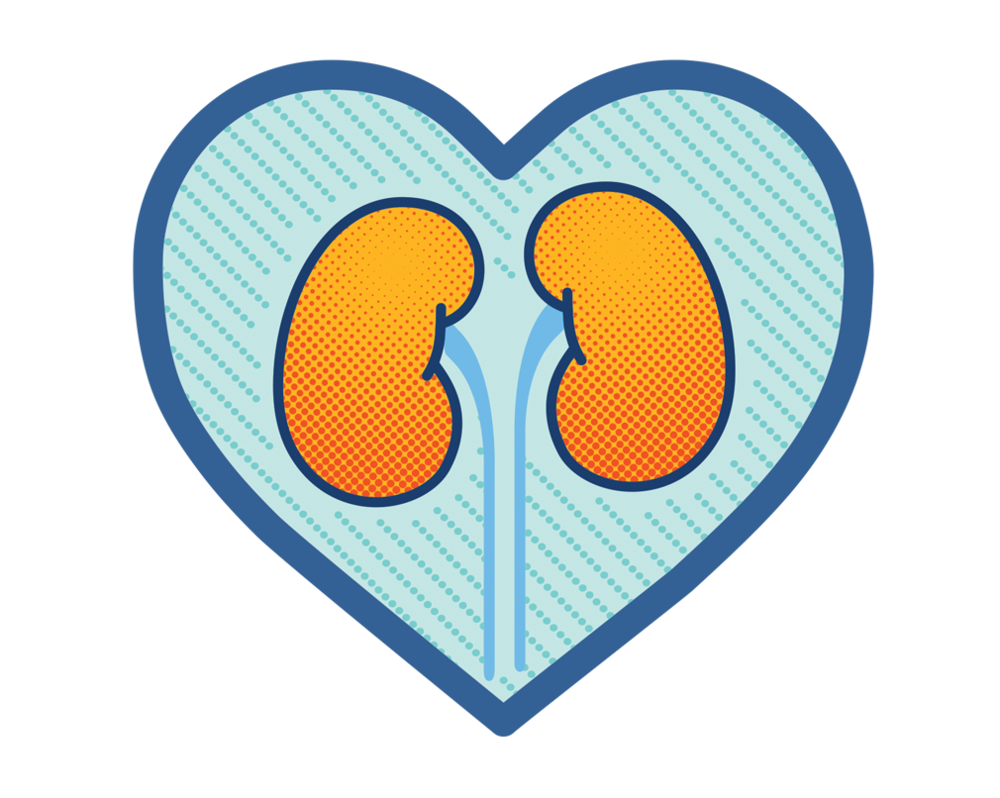 Benefits for kidney Benefits for kidney