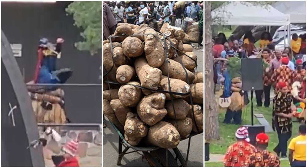 Photos as Igbos celebrate new yam festival in Canada.