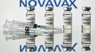 French, US drug firms team up for Covid-flu shot