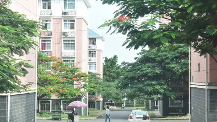 Equatorial Guinea's poor lose hope in promised social housing