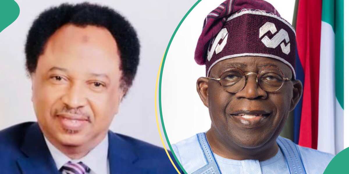 Read what former northern senator said about Tinubu’s new appointment at African Union