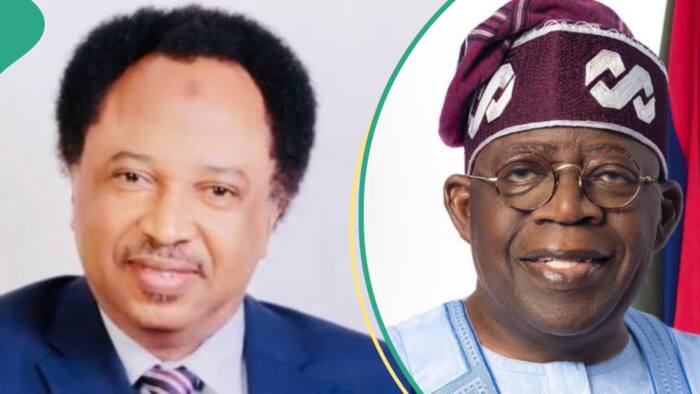“We are now “Champion of health’ in Africa”: Shehu Sani's cryptic post on Tinubu’s AU appointment
