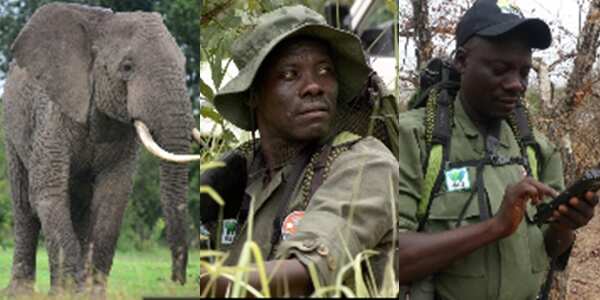 Nigerian man Suleiman Seidu awarded N16 million Naira for saving elephants in Yankari Game Reserve, Bauchi State.
