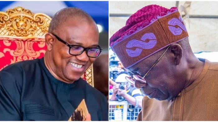 Big boost for Peter Obi at tribunal as court takes vital action in suit against Tinubu