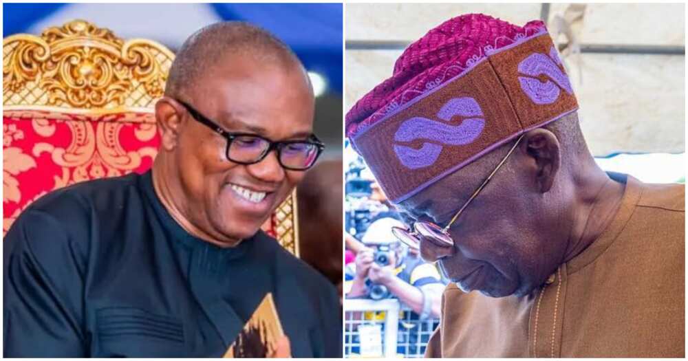 Peter Obi/Peter Obi news/Peter Obi news this day Peter Obi/Peter Obi news/Peter Obi news this day