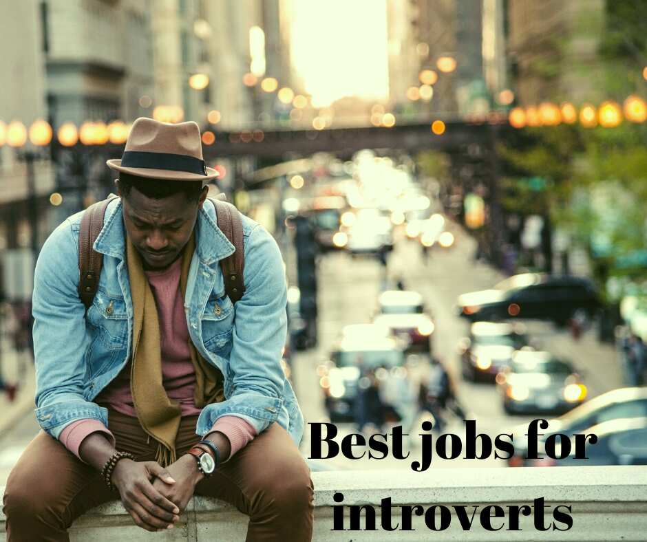 Jobs for introverts Jobs for introverts