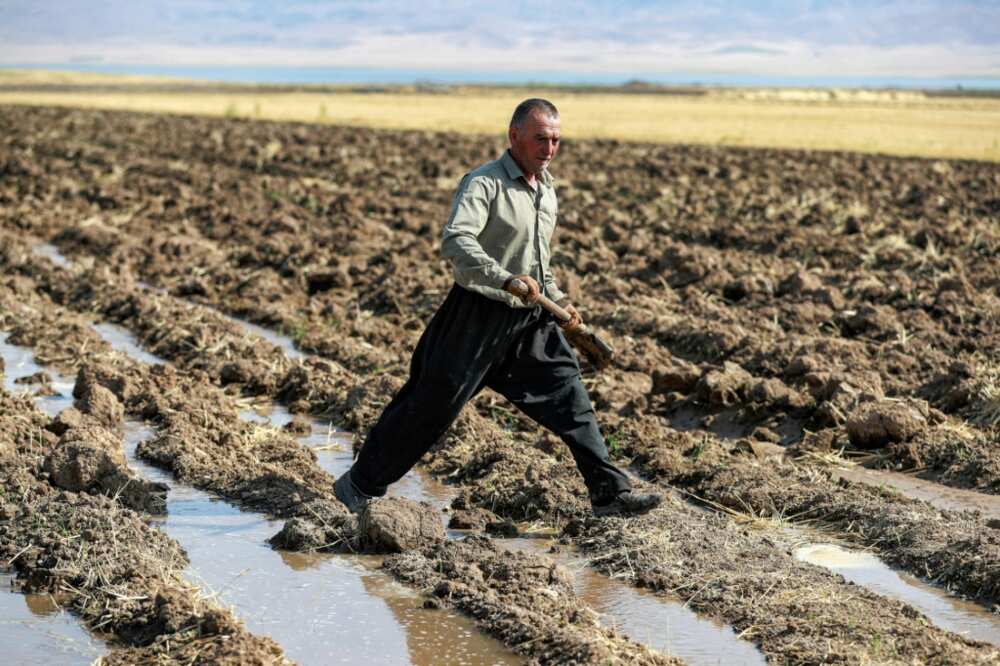 A Kurdish farmer digs with a shovel irrigation ditches for water supplied from a well, in the Rania district near the Dukan Dam