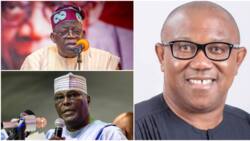 Atiku, Tinubu or Obi? Ex-minister reveals preferred candidate northerners should vote for in 2023 and Why