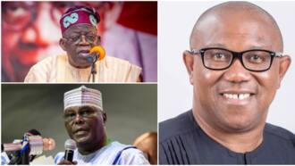 Atiku, Tinubu or Obi: Strong human rights activist reveals possible winner of 2023 presidential election