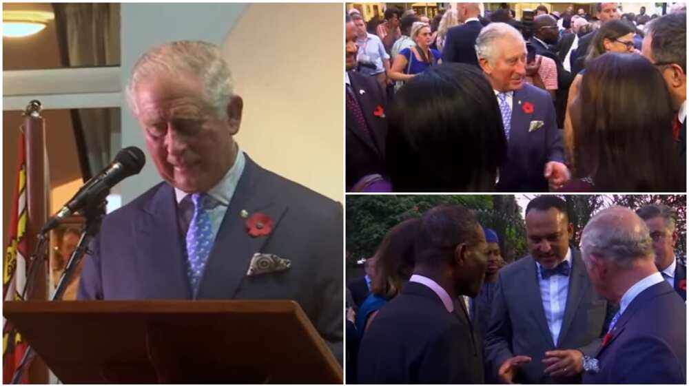 Throwback to when British Prince spoke Pidgin English, video stirs reactions