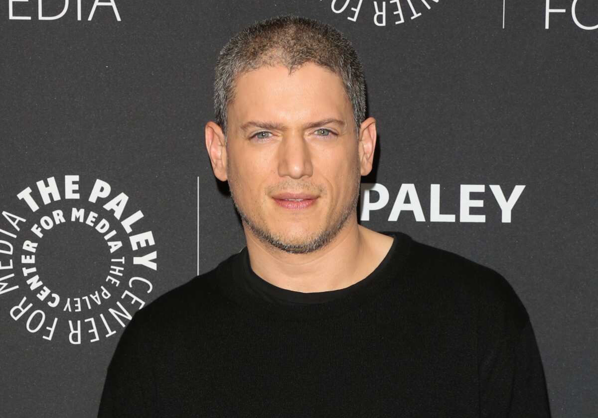 Wentworth Miller en couple : qui est le compagnon de l'acteur ? - Legit.ng